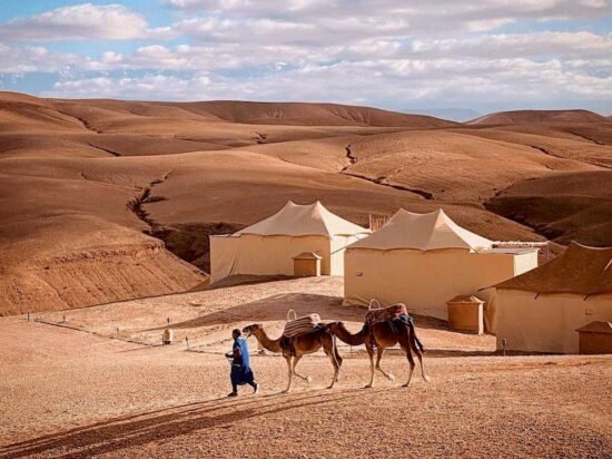 Agafay desert - Camel ride
