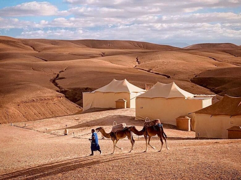 Agafay desert - Camel ride/